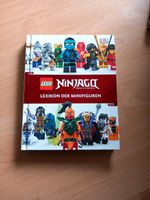 Ninjago Lexikon Niedersachsen - Wunstorf Vorschau