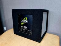 Aktiv Subwoofer Canton CS 200 A mit Kabelsatz Baden-Württemberg - Durlangen Vorschau