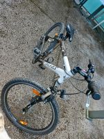 Fahrrad Damen/ Kinder Saarland - Merchweiler Vorschau