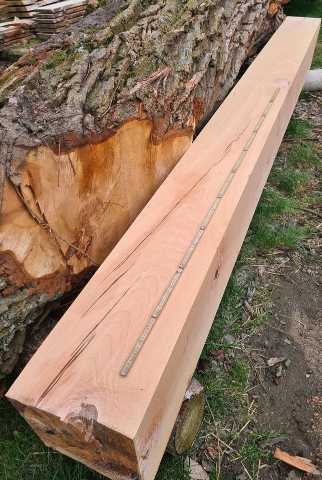 XL Buche Balken 32x32cm, Holz, Bank, Stamm in Gebsattel