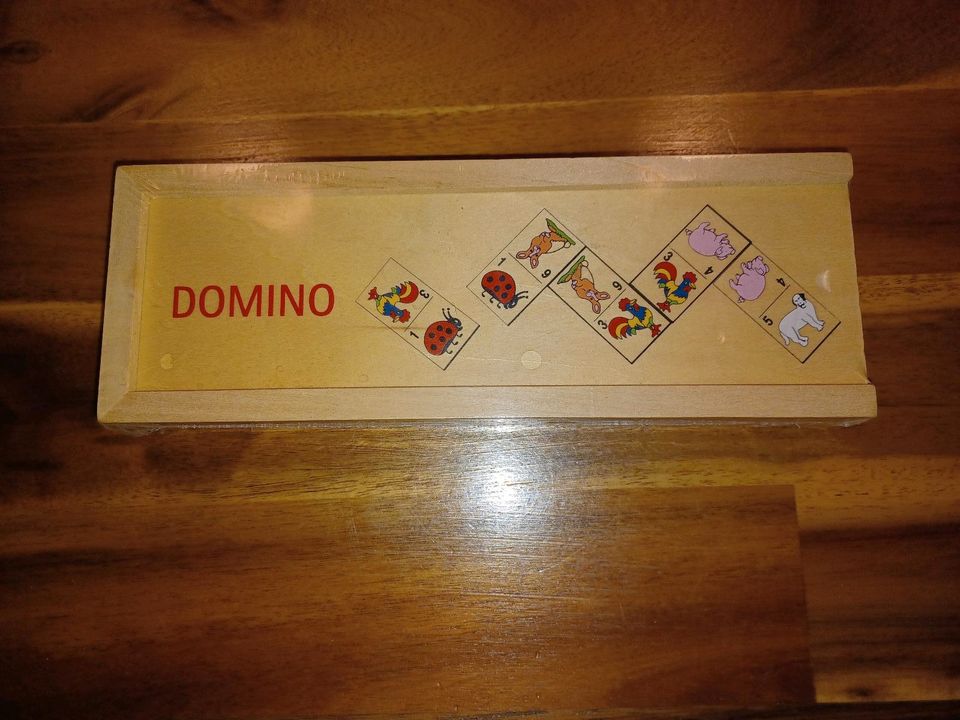 Holzspiel Domino in Erlenbach