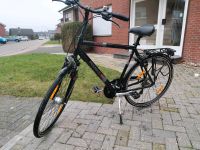 Pegasus Solero,28 Zoll, Herren Fahrrad Nordrhein-Westfalen - Velen Vorschau