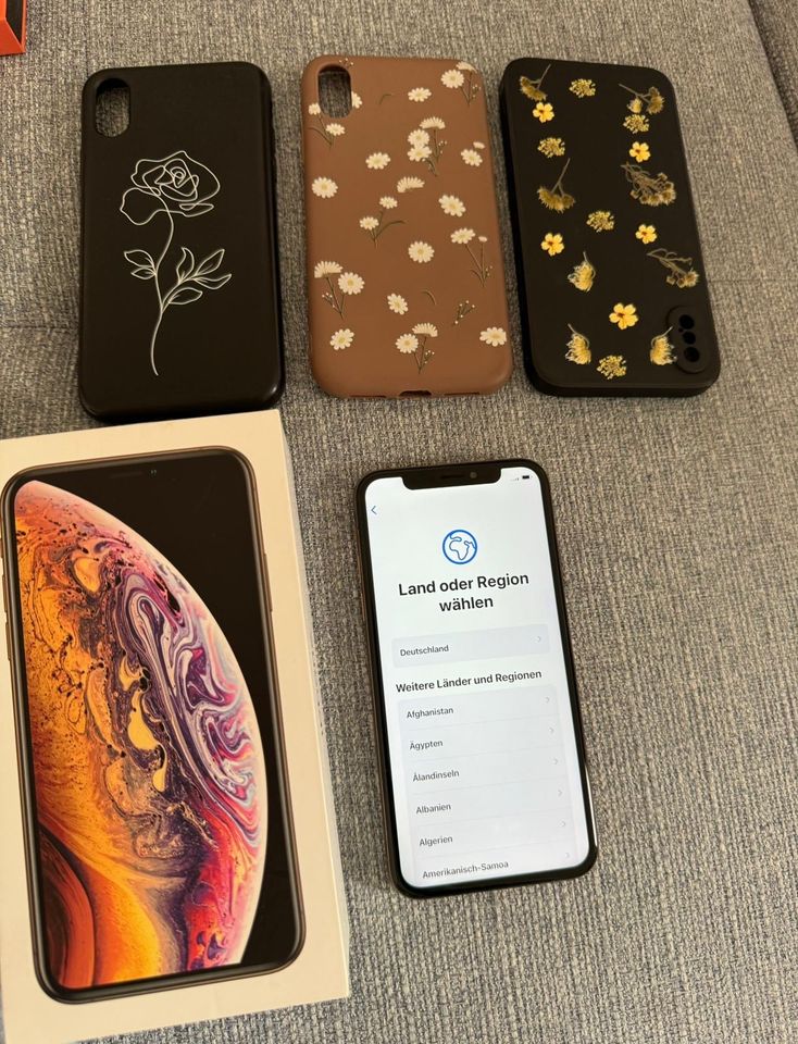 iPhone XS 64GB Rosegold in Horn-Bad Meinberg