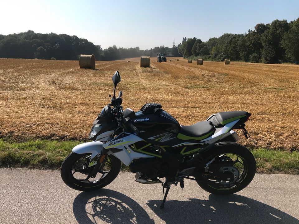 Kawasaki Z 125 Top Zustand in Düsseldorf