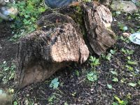 Holz Klotz alt Baden-Württemberg - Hochdorf Vorschau