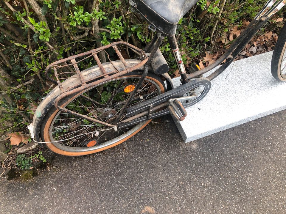 Oldtimer Damen, Fahrrad Staiger, 26 Zoll gegen Gebot in Stuttgart