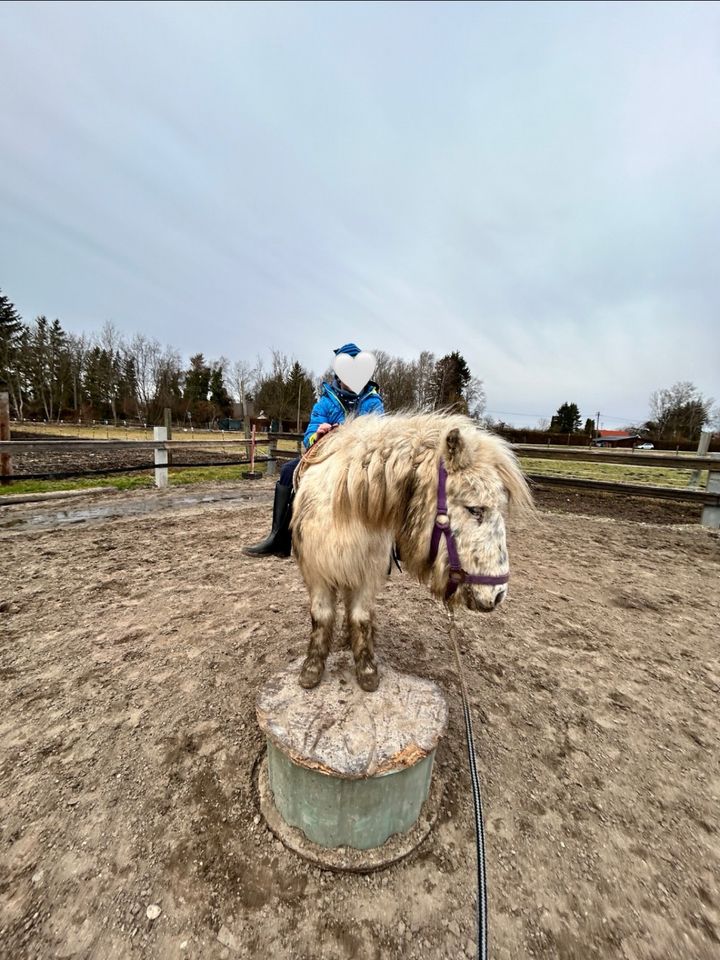 Reitunterricht für Kinder, Westernreitschule, Ponyspiele in München