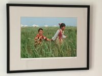 Fotokunst von Luca Zordan:  "Grasslands"  -  Signierte Edition Düsseldorf - Bilk Vorschau