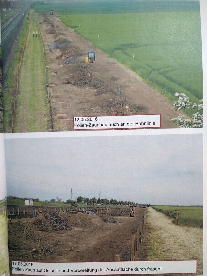 Naturschutz Habitat Amphibienschutz Haselmaus Fledermaus Zaunbau in Groß-Umstadt