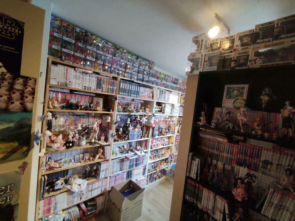 Anime Manga Sammlung Comics figuren Merch suche Suchliste in Langerringen