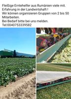 Rumänische Arbeiter in der Landwirtschaft  WIR suche nach Jobs in Bayern - Landau a d Isar Vorschau