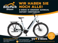 Winora Elektro-Fahrrad Sinus N8f Bosch Performance i500Wh 8-Gang Niedersachsen - Dissen am Teutoburger Wald Vorschau