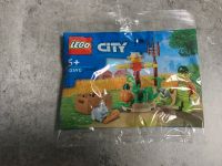 Lego Polybag Bauernhofgarten mit Vogelscheuche 30590 Nordrhein-Westfalen - Waltrop Vorschau