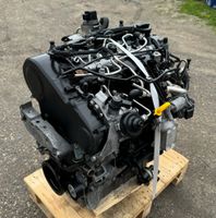 VW 2.0TDI CFH CFG CFF Motor komplett Brandenburg - Nauen Vorschau