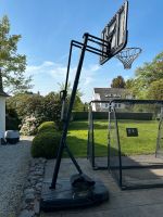 Basketball Korb Hessen - Königstein im Taunus Vorschau