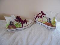 Converse Taylor All Star Chucks kleiner Maulwurf nicht getragen Bayern - Zapfendorf Vorschau