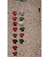 16x Hannover 96 Trikot Pin Sammlung 1990 -2019 Niedersachsen - Gronau (Leine) Vorschau