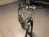 Pegasus Milano GT Herren Fahrrad 28 Zoll Made in Germany Nordrhein-Westfalen - Leopoldshöhe Vorschau