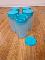 Tupperware 5x Universalbehälter 825ml Baden-Württemberg - Pliezhausen Vorschau