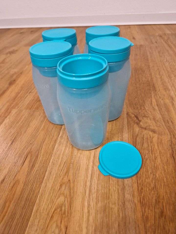 Tupperware 5x Universalbehälter 825ml in Pliezhausen