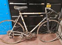 Rennrad Raleigh Equipe Scheunenfund Deko selten 1984 Niedersachsen - Gifhorn Vorschau