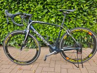 TOP Specialized Roubaix Niedersachsen - Wennigsen Vorschau