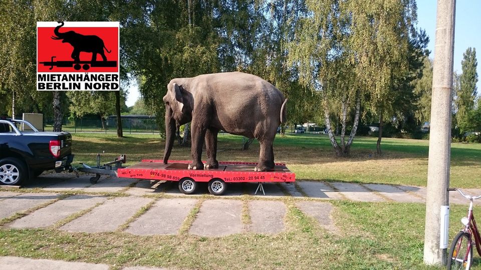 Transport Umzug Bauwagentransporte Bootstransport Anhänger mieten in Hennigsdorf