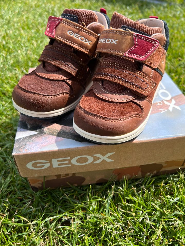 Geox Kinder Schuhe Gr. 25 Lederschuhe Stiefel in Weihmichl