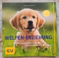 Welpen Erziehung (Buch) Brandenburg - Premnitz Vorschau