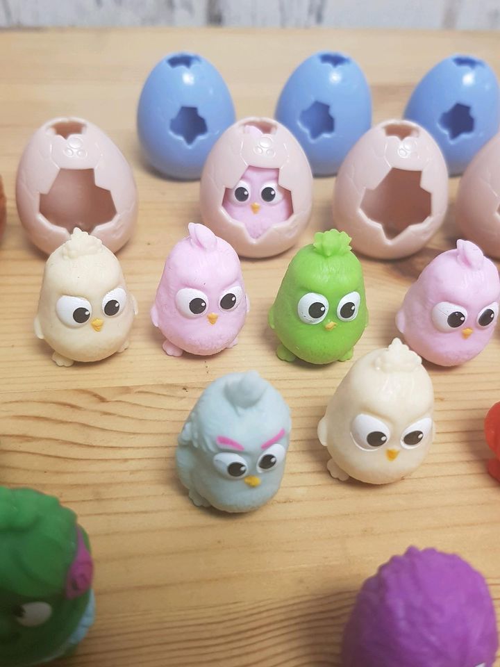 Angry Birds mit Eierschalen Sammlung in Bonn