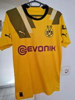 Dortmund Tchirt Hessen - Groß-Umstadt Vorschau