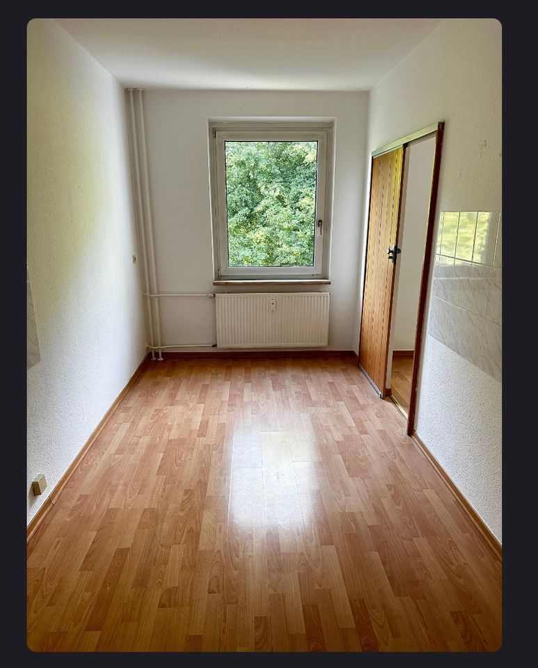 3 Zimmer Wohnung Chemnitz Siegmar in Chemnitz