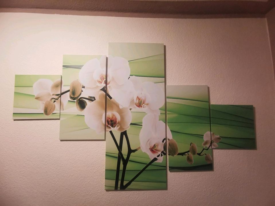 Leinwand Bild holz Orchideen in Langenbernsdorf