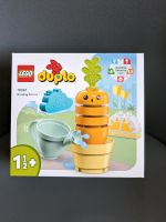 Lego Duplo 10981 Sachsen-Anhalt - Wettin-Löbejün Vorschau