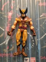 Marvel Legends Toybiz Wolverine Sachsen-Anhalt - Schönebeck (Elbe) Vorschau