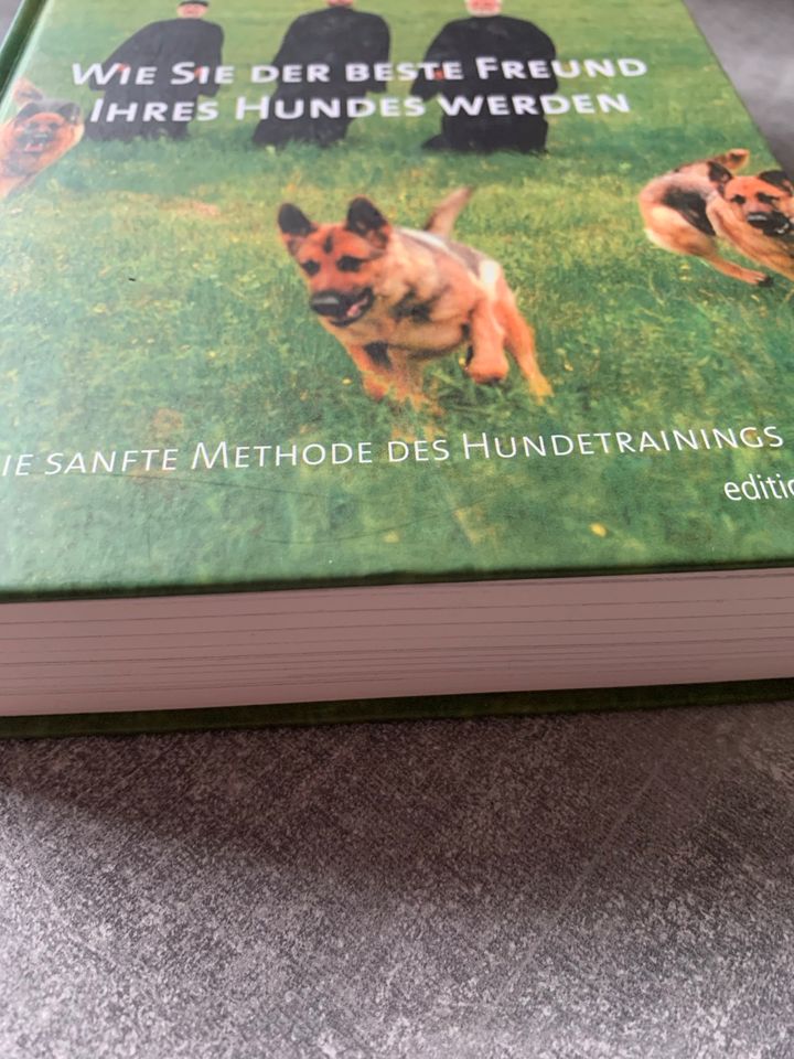 WIE SIE DER BESTE FREUND IHRES HUNDES WERDEN, Buch in Salzgitter