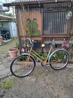 28 Zoll Original Mifa Damenfahrrad Mecklenburg-Strelitz - Landkreis - Neustrelitz Vorschau