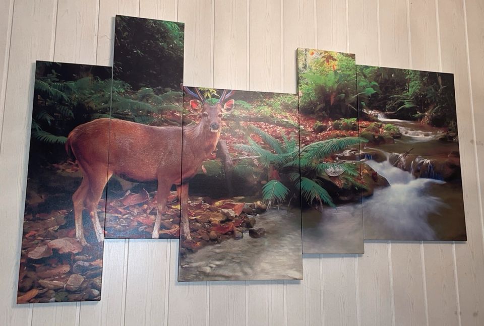 Wandbild Hirsch in Schönebeck (Elbe)