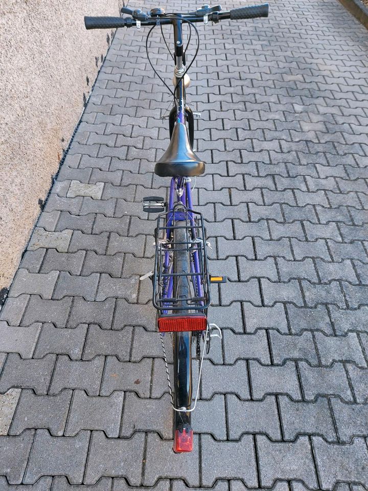 Damenfahrrad 28Zoll in Neuhausen