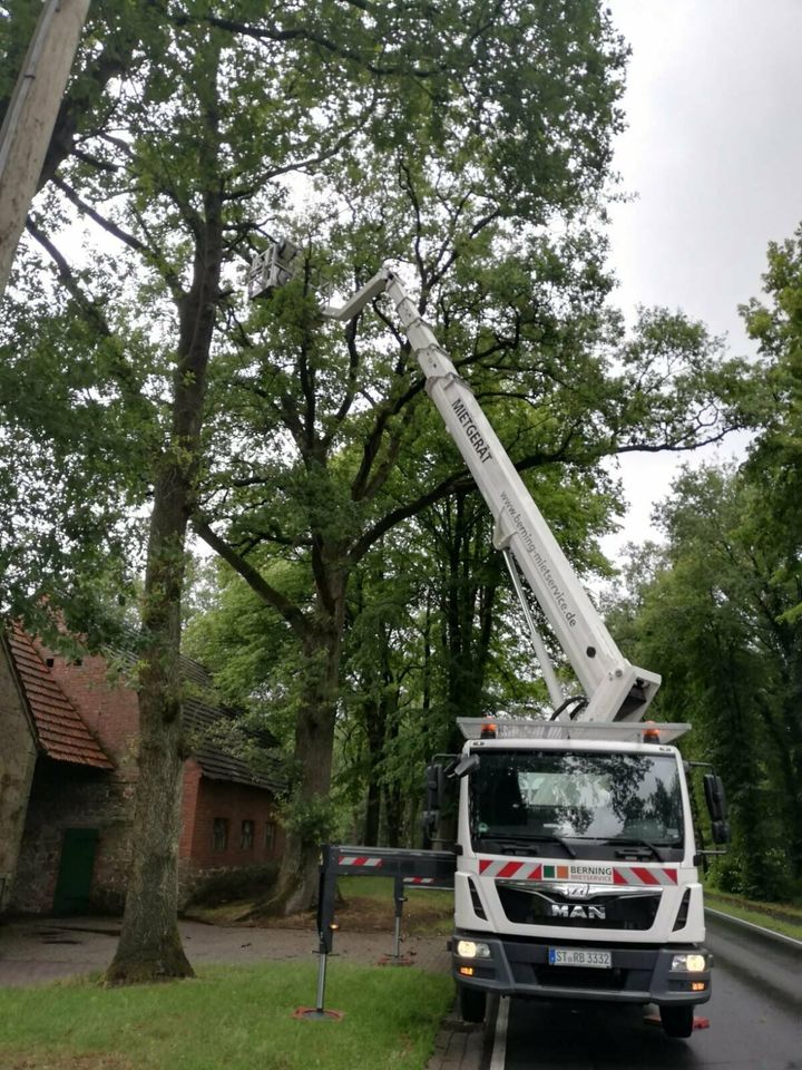 Baumfällung Baumpflege Sturmschadenbeseitigung Wurzelfräsen in Saerbeck