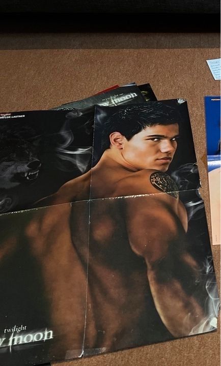 Taylor Lautner, Twilight, Poster, Buch in Norderstedt