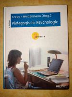 Pädagogische Psychologie Krapp Weidenmann Belz Brandenburg - Eberswalde Vorschau