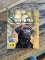 Labrador Retriever Buch von GU Hessen - Witzenhausen Vorschau