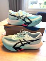 ASICS Metaspeed Edge Paris EU 44,5 Hessen - Braunfels Vorschau