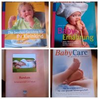 Baby Brei Ernährung Kleinkind Schwangerschaft Rheinland-Pfalz - Lonnig Vorschau