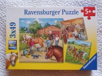 Ravensburger Puzzle "Mein Reiterhof", 3 x 49 Teile Rheinland-Pfalz - Maxdorf Vorschau