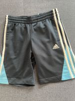 Kurze Hose adidas Bayern - Bischofsmais Vorschau