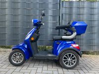 Rolelektro E-Quad 25 V.2 Blau Hessen - Kronberg im Taunus Vorschau