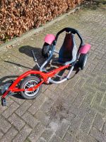 Liegerad Berg Balance Bike Niedersachsen - Beesten Vorschau