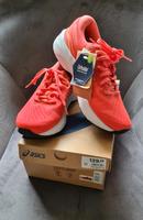 ASICS Laufschuhe NEU Damen Größe 40 Schleswig-Holstein - Lübeck Vorschau